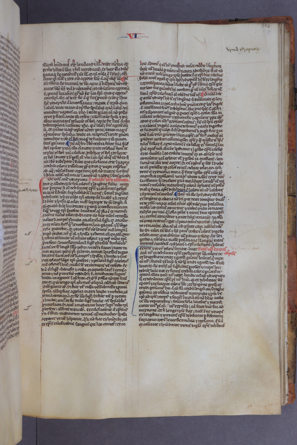 Folio 117 recto